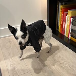 The Dog Face (North Face) Down Feather Black Winter Little Dog Jacket (Small)